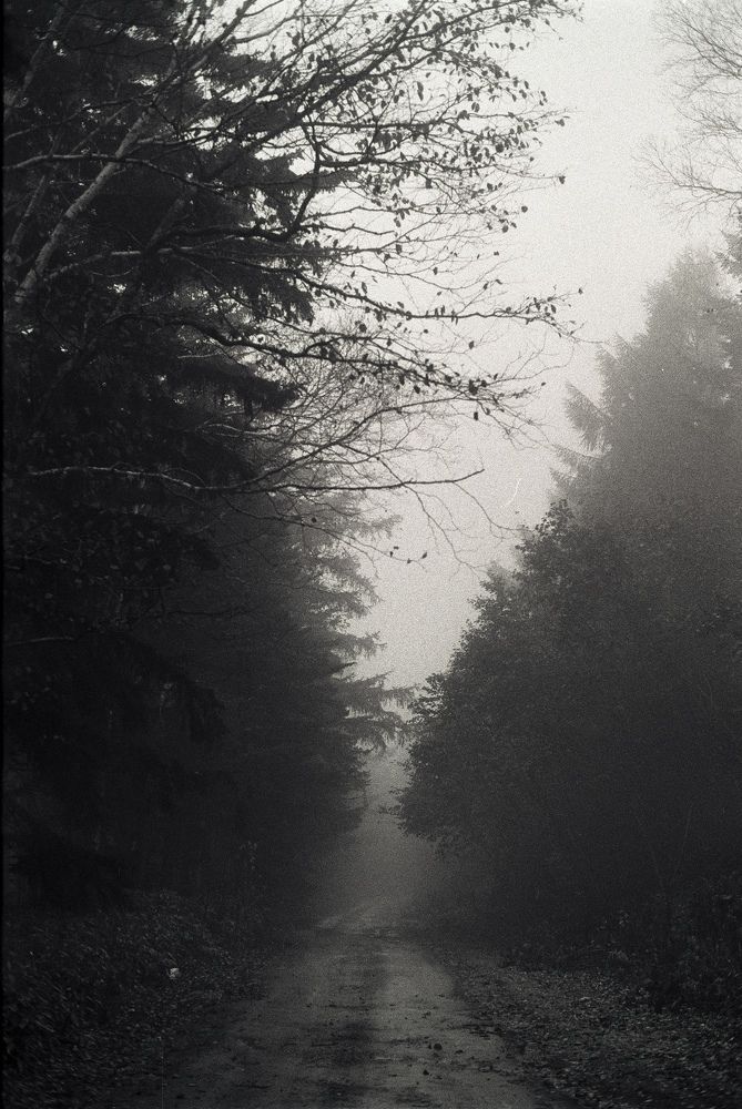 Photograph by Александр Еманаков