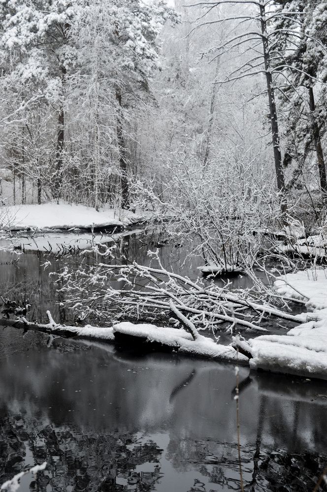 Photograph by Ирина Александрович