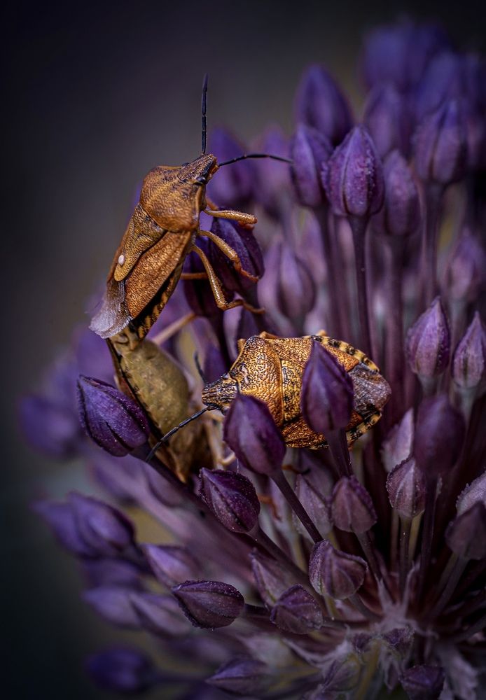 Photograph by Марина Сидоренко