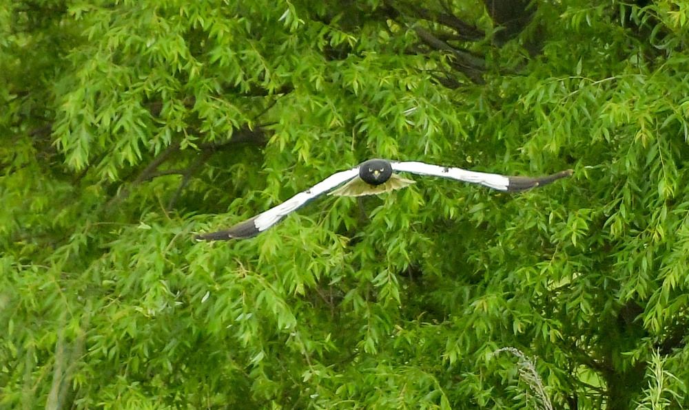 Photograph by Олег Волков