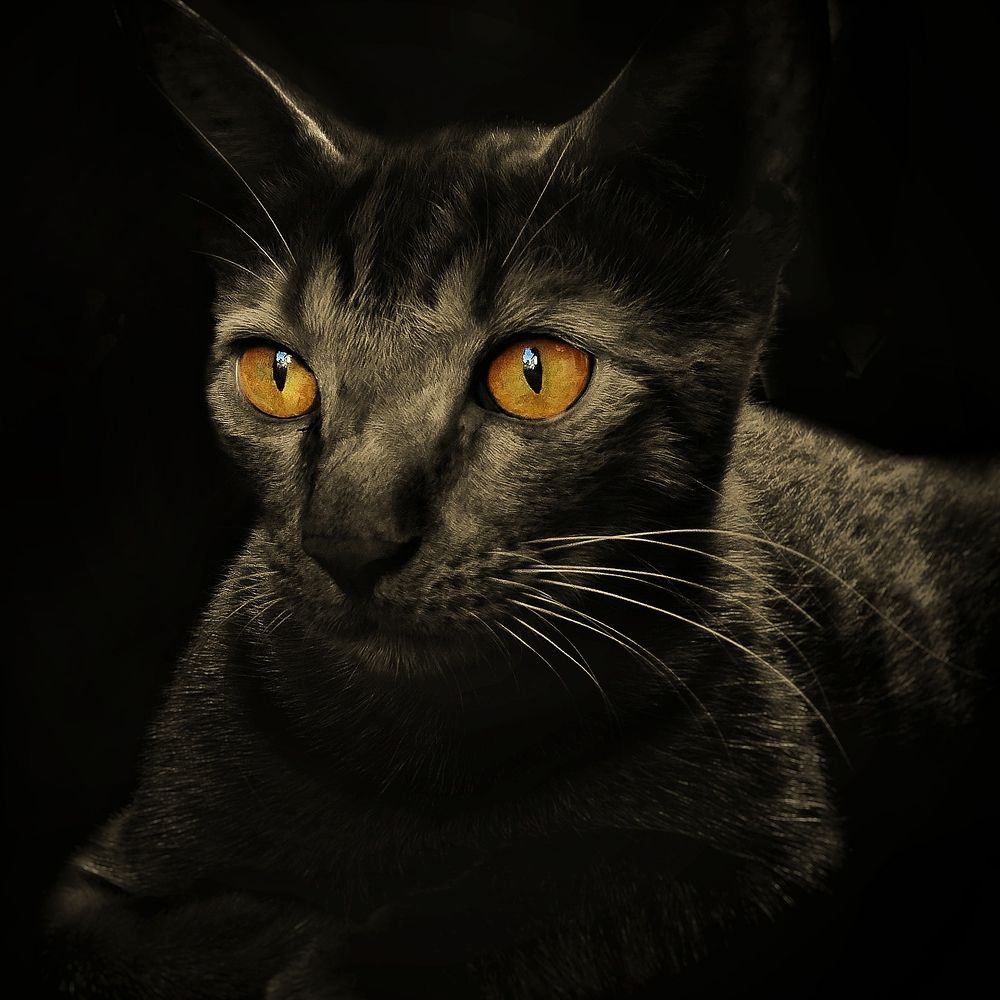 Photograph by Hait Dama