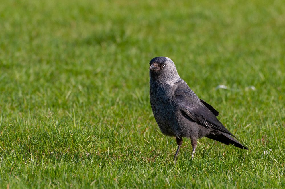 Photograph by Александр Гончаров