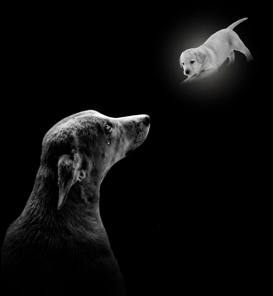 Photograph by Hait Dama