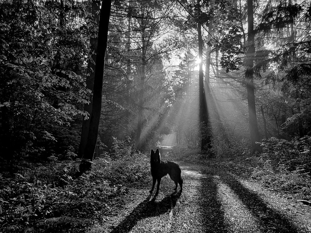 Фотография автора Надежда Лисицына