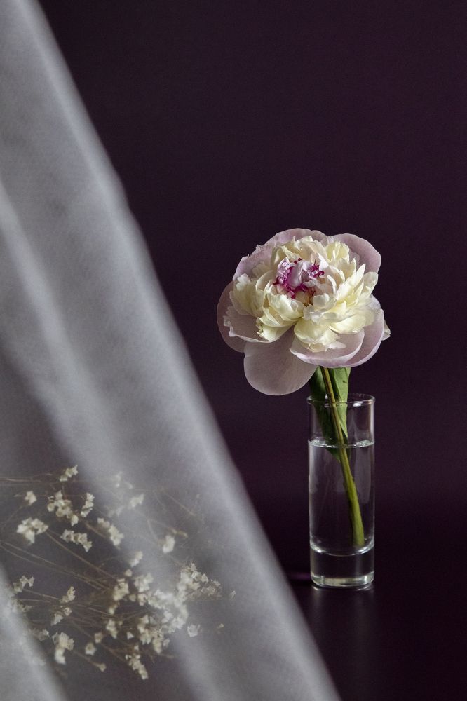 Photograph by Иван Соловьёв