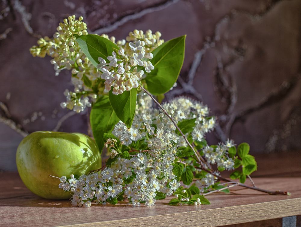 Photograph by Владимир Портуаров