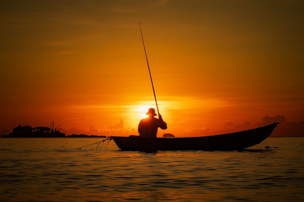 Photograph by Dũng Phùng