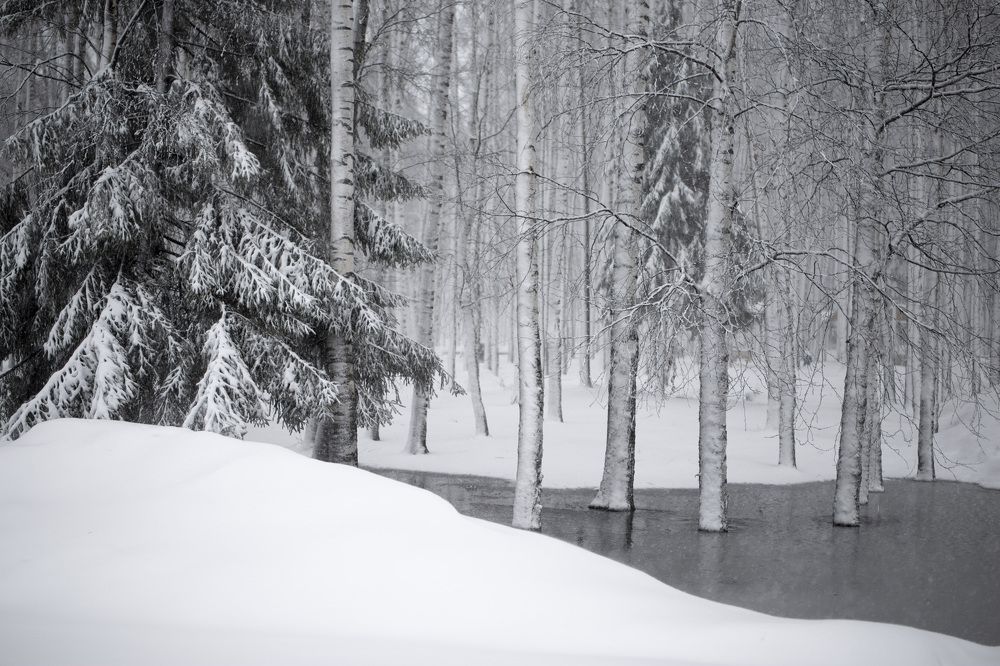 Photograph by Наталья Переверзева