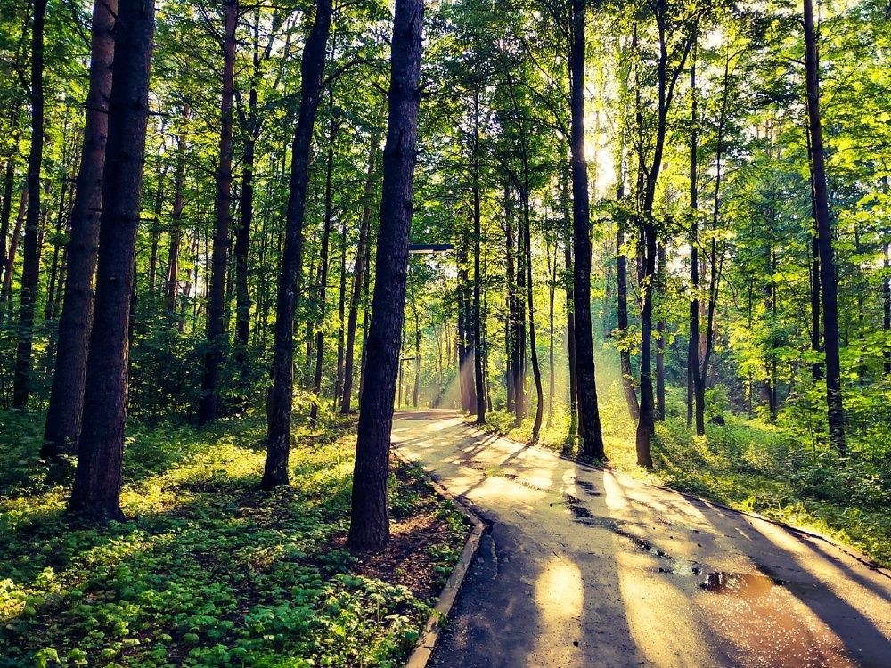 Photograph by Анна Лебедева