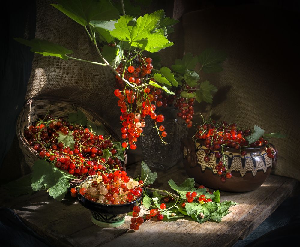 Photograph by Milena Ivanova