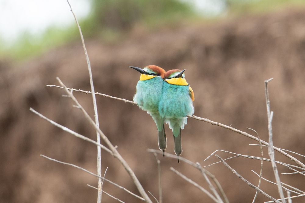 Photograph by Цветков Сергей