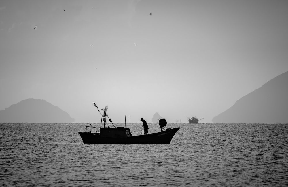 Photograph by Dũng Phùng