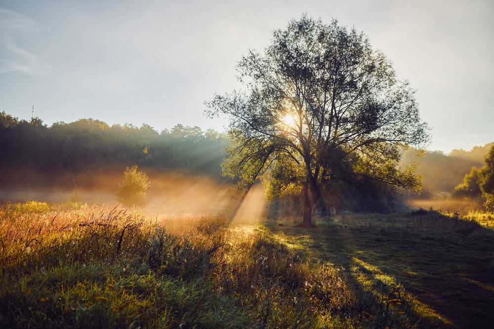 Photograph by Дмитрий Дыбов