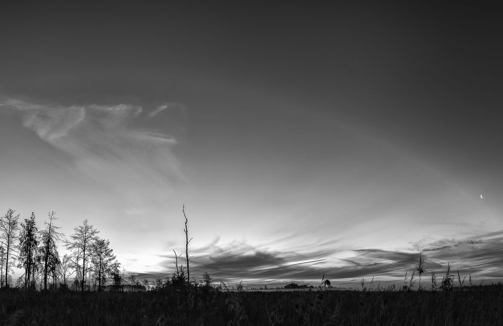 Photograph by Владимир Портуаров