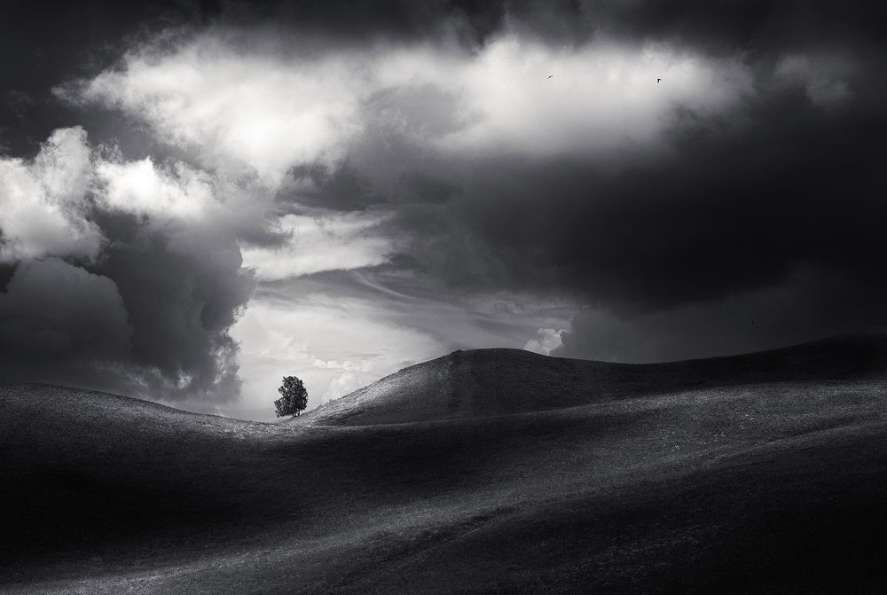 Photograph by Бирюкова Татьяна