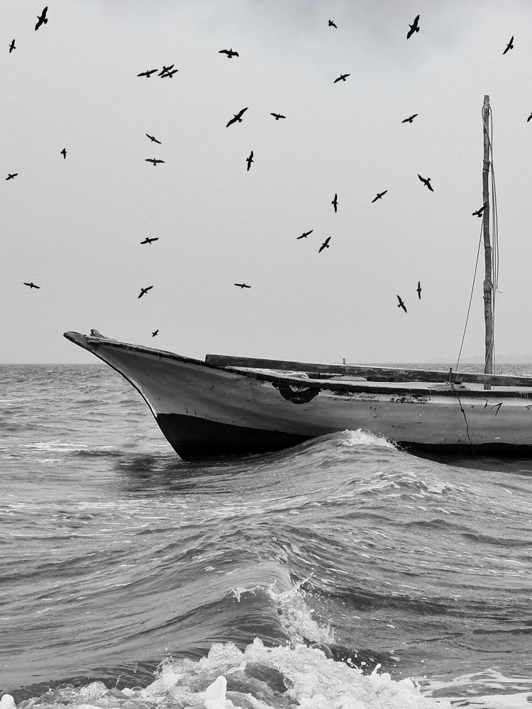 Photograph by Basel saad