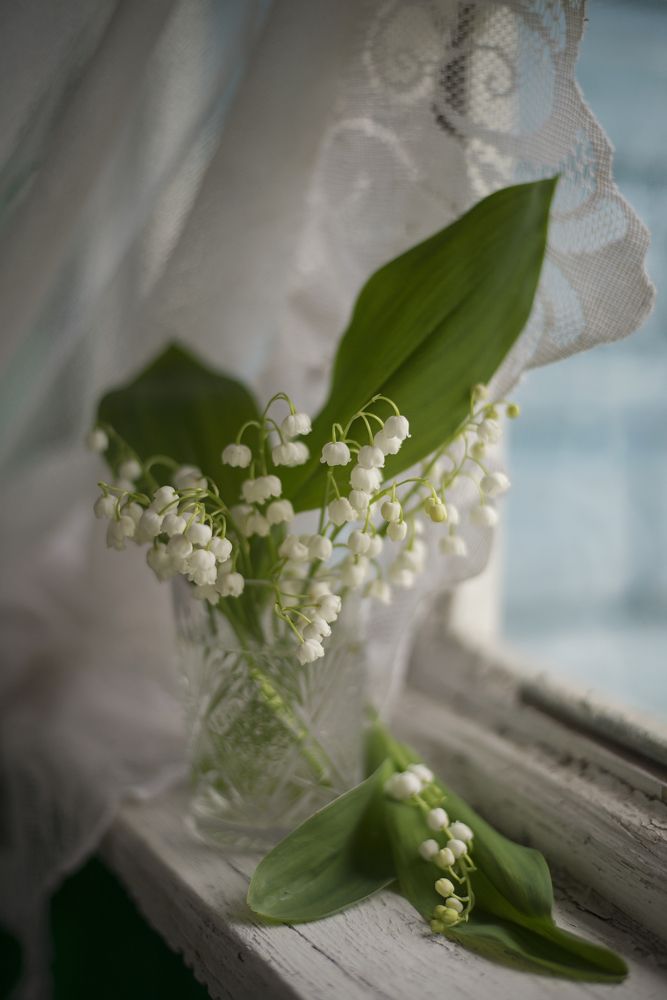 Photograph by Елена Косинова