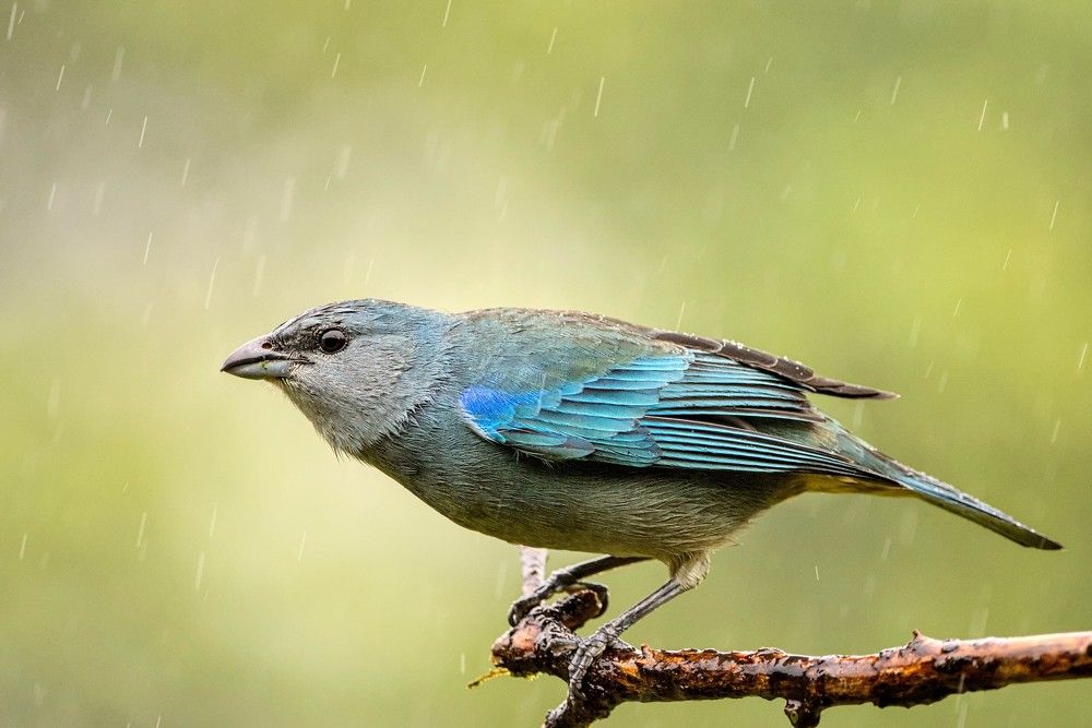 Photograph by Eduardo Bom