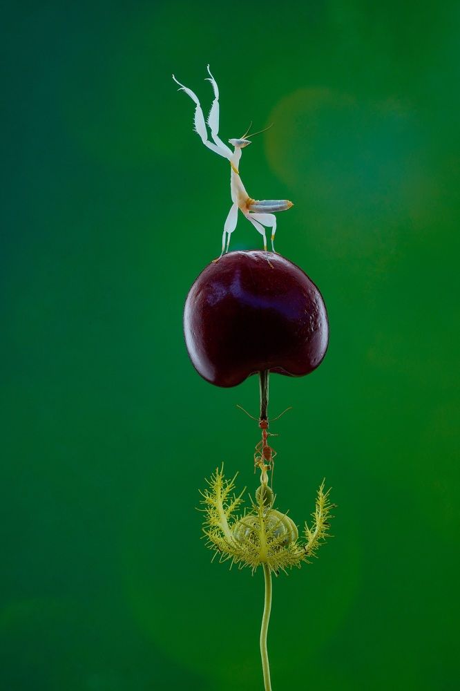 Photograph by Dikye Ariani