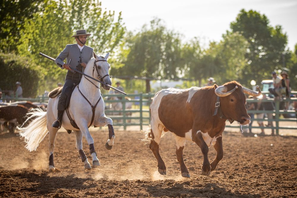 Photograph by Carlos Hernâni