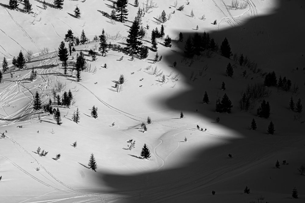 the shadow slowly covers the field