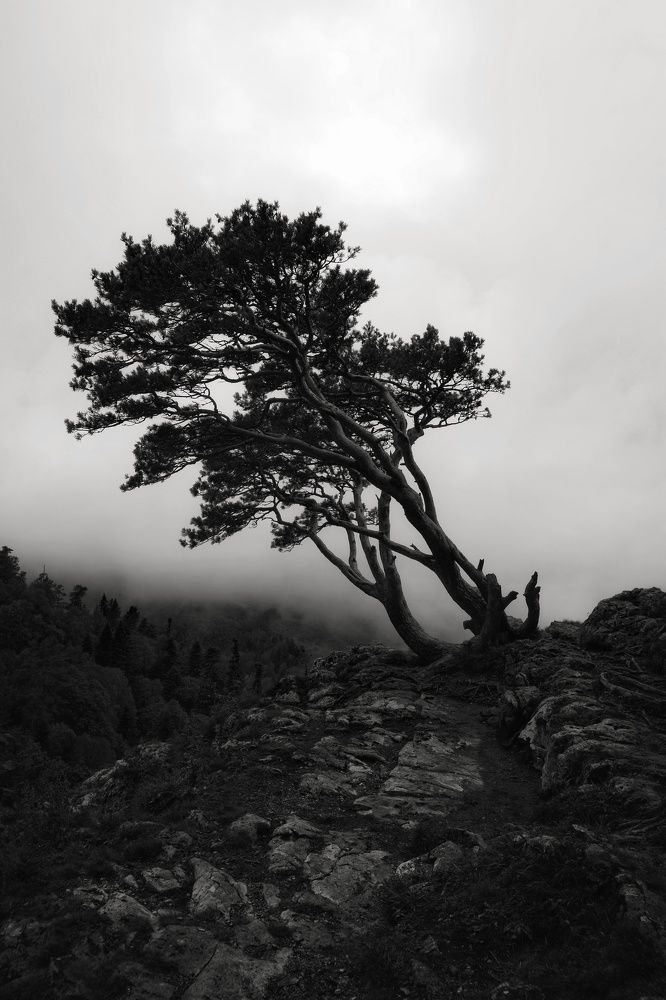 Photograph by Александр Лопатин