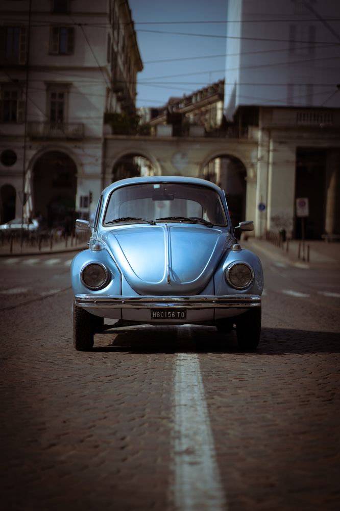 Photograph by Hutusoru Roberto