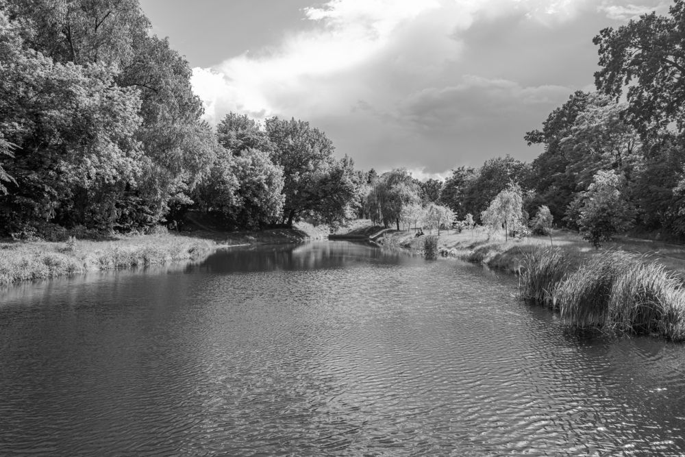 Photograph by Максим Умеренников