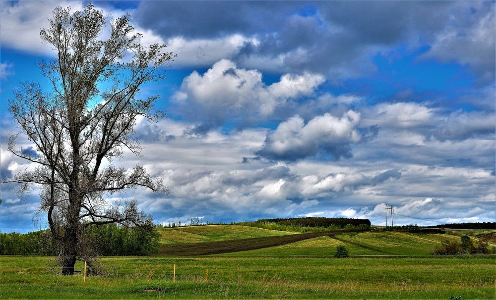 Photograph by Yrii Usoltsev