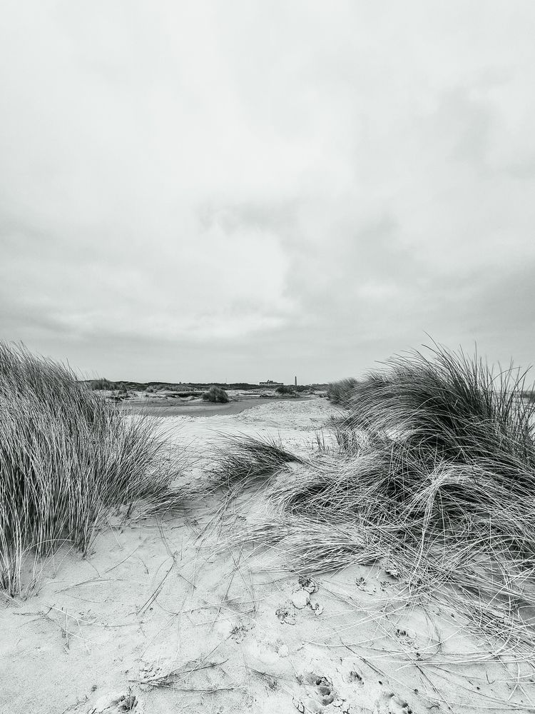 Photograph by Schewzow Lana