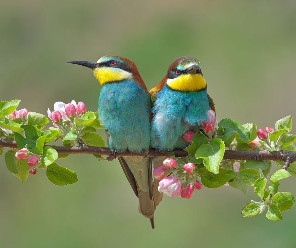 Свадебная открытка