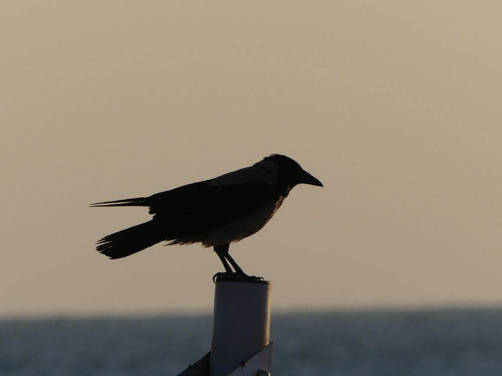 Photograph by Binyamin Waldayes