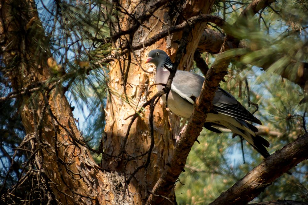 Photograph by Юрий Яковлевич