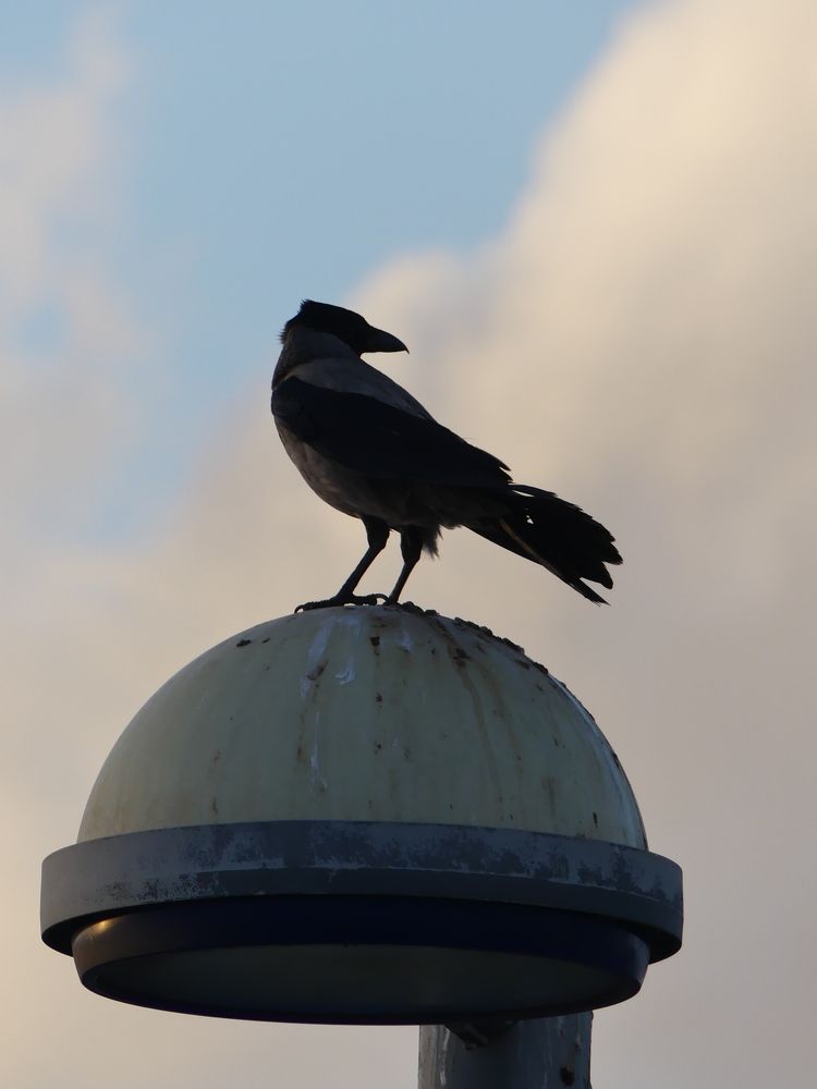 Photograph by Binyamin Waldayes