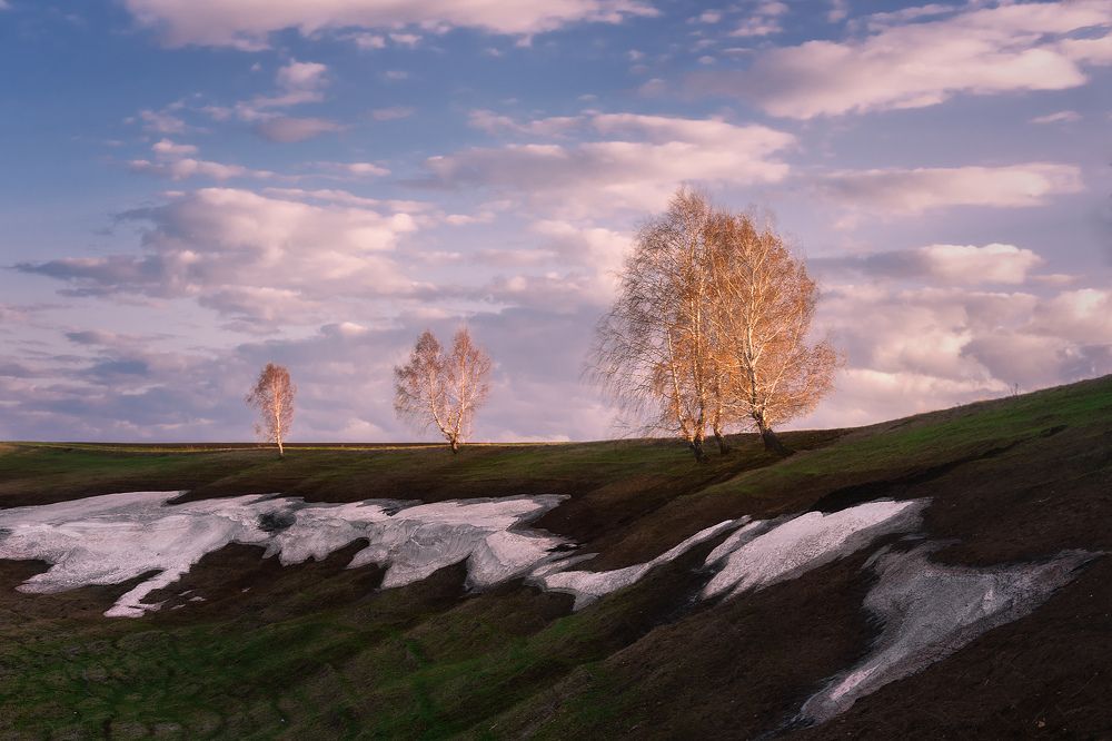 Весны часовые...