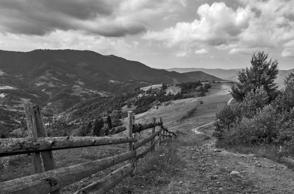 Photograph by Евгений Каримов