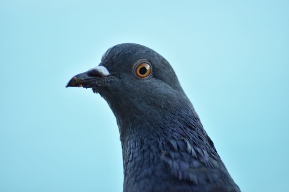 Photograph by Александр Костин