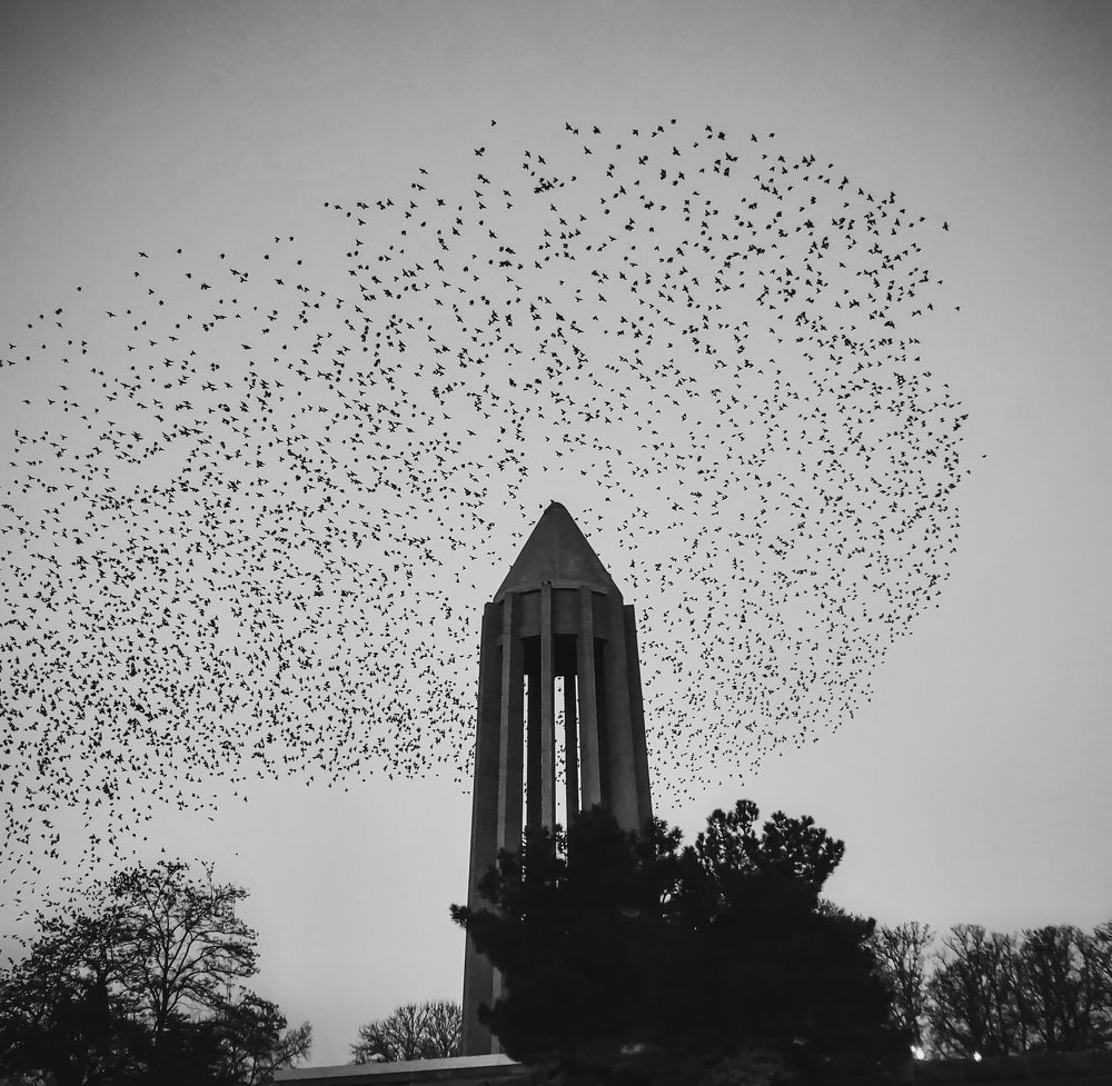 Photograph by Mahdi Emami