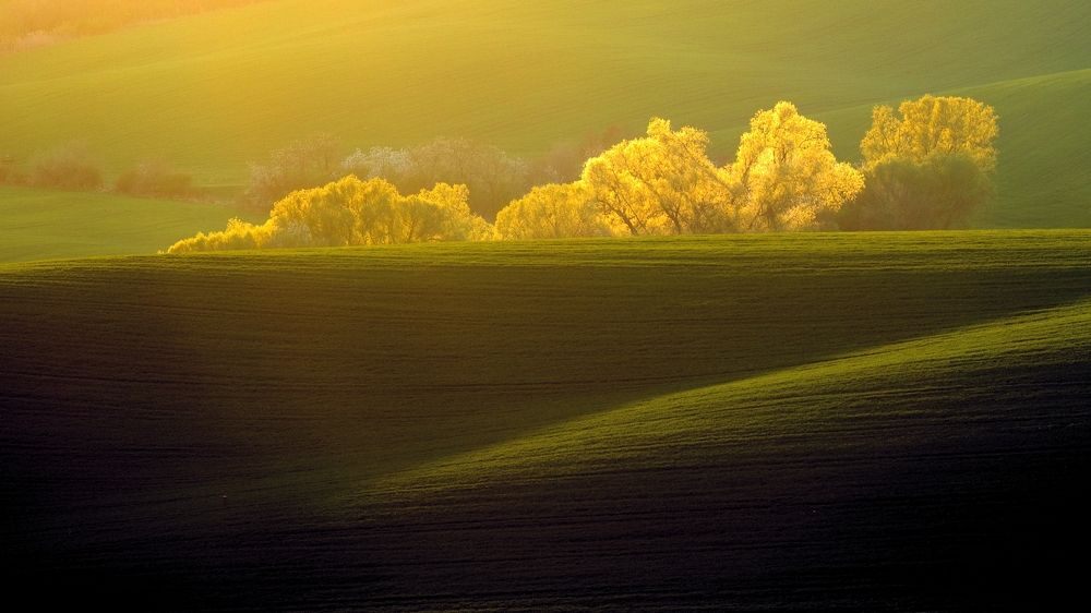 Photograph by Michal Krejčíř