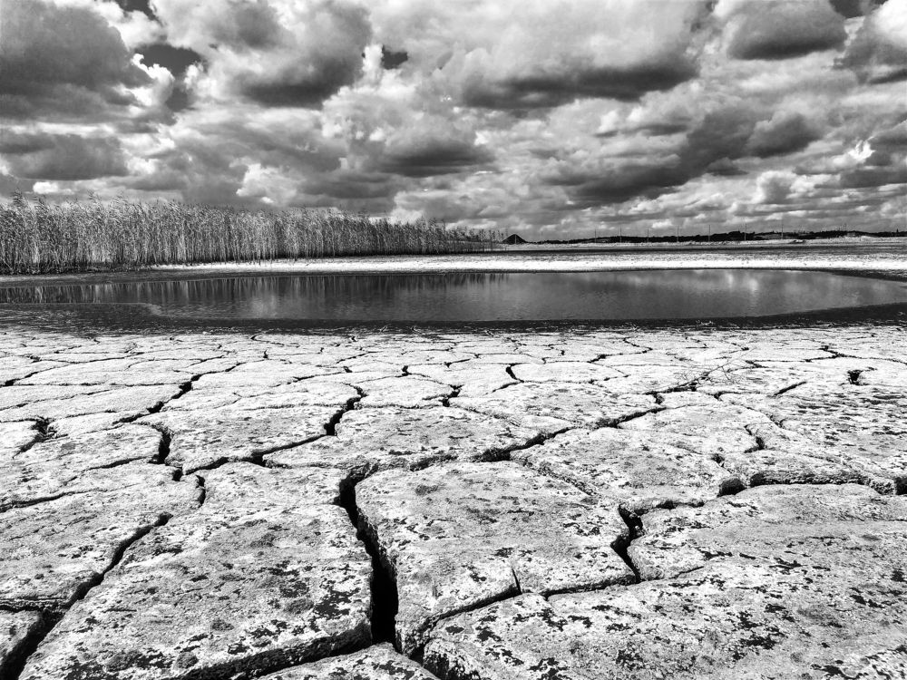 Photograph by Дина Горбачёва