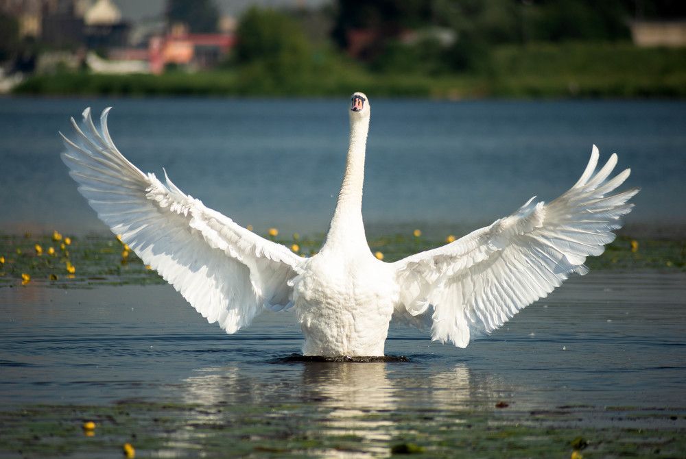 Фотография автора Aлексей Игнатьев
