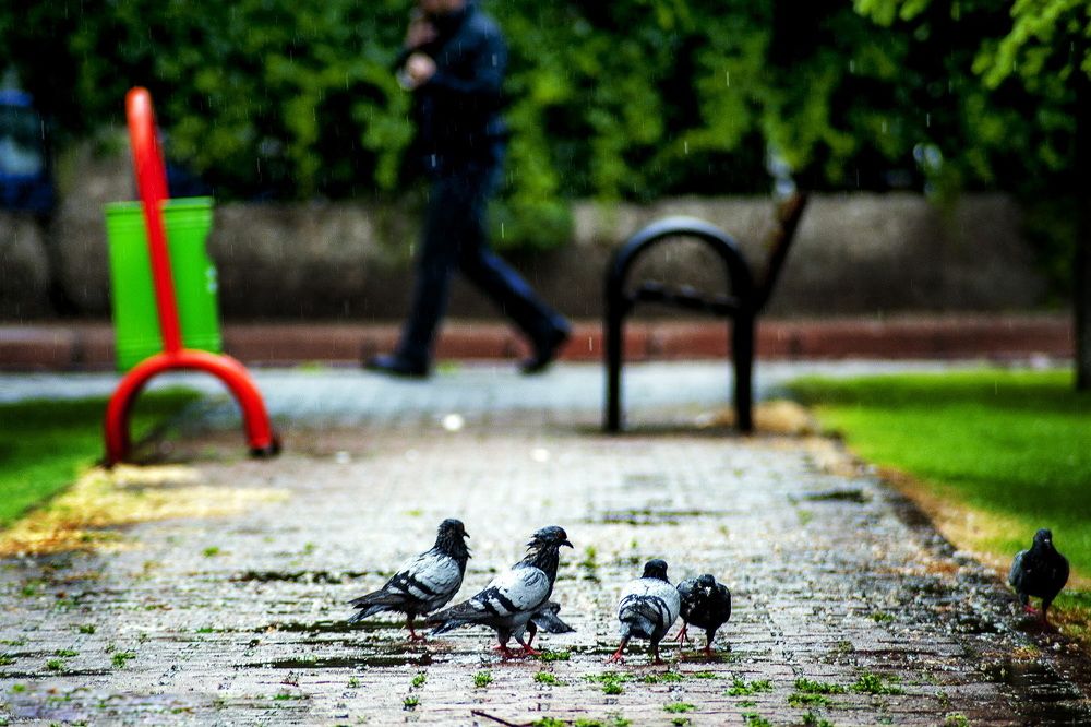 Photograph by DAMOUN POURNEMATI