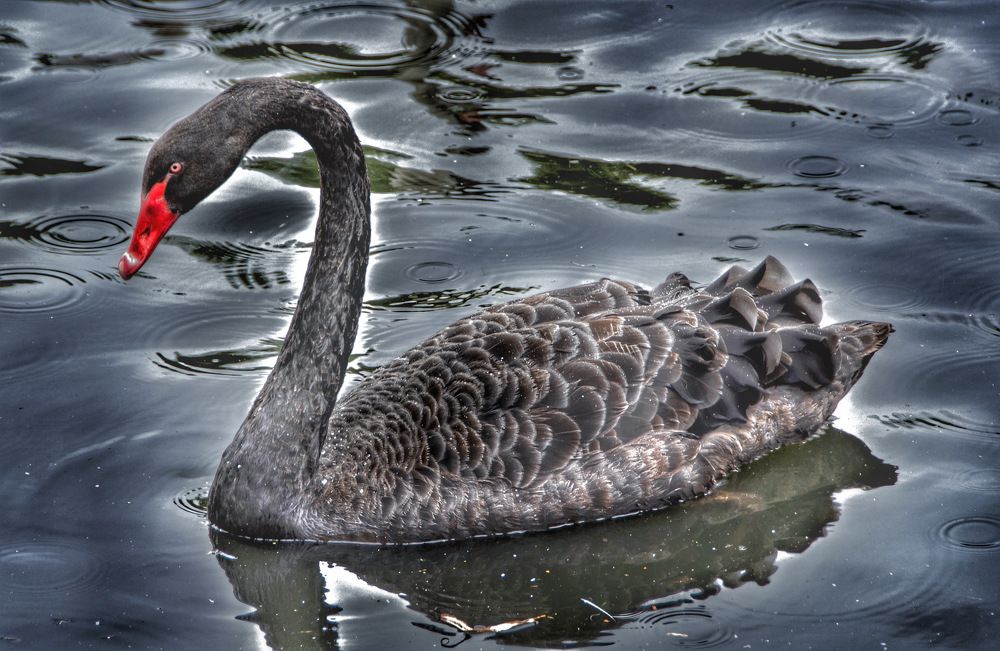 Photograph by John Blake