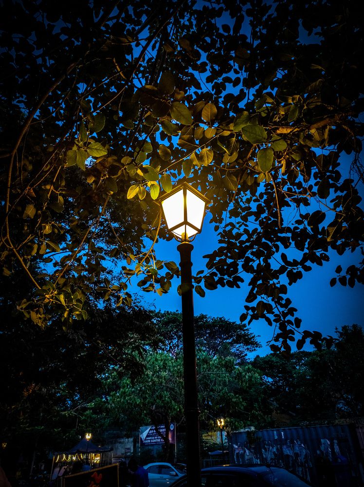 Photograph by PRABAGARAN V