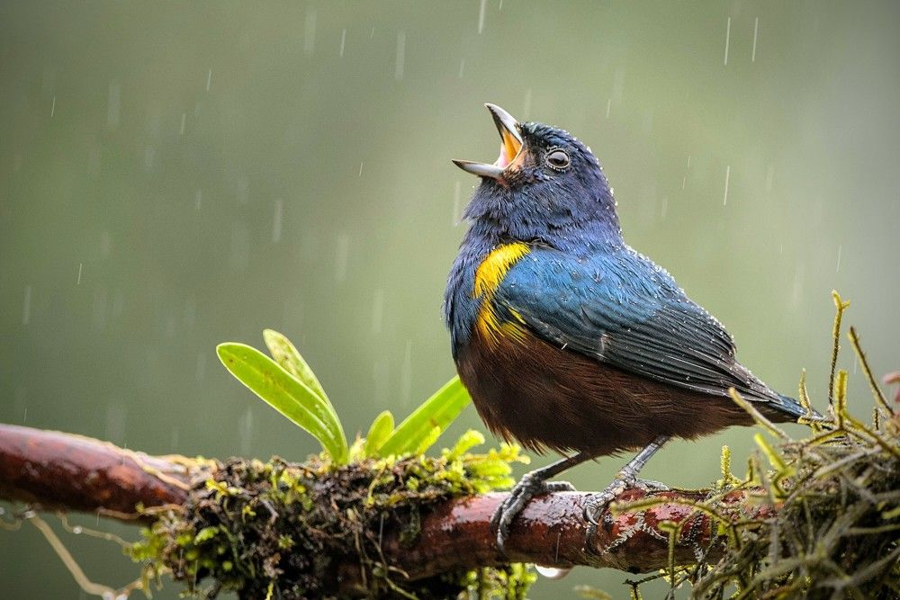 Photograph by Eduardo Bom