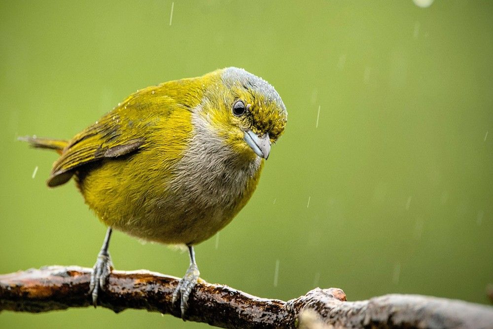 Photograph by Eduardo Bom