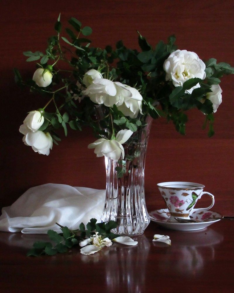 Photograph by 