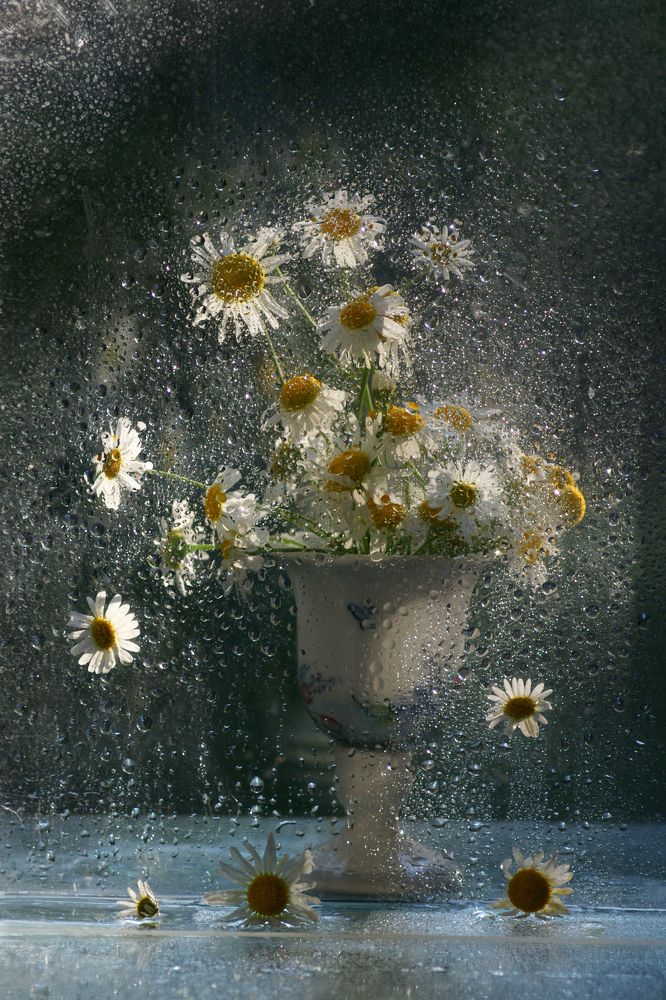 Photograph by Ольга Пуховникова