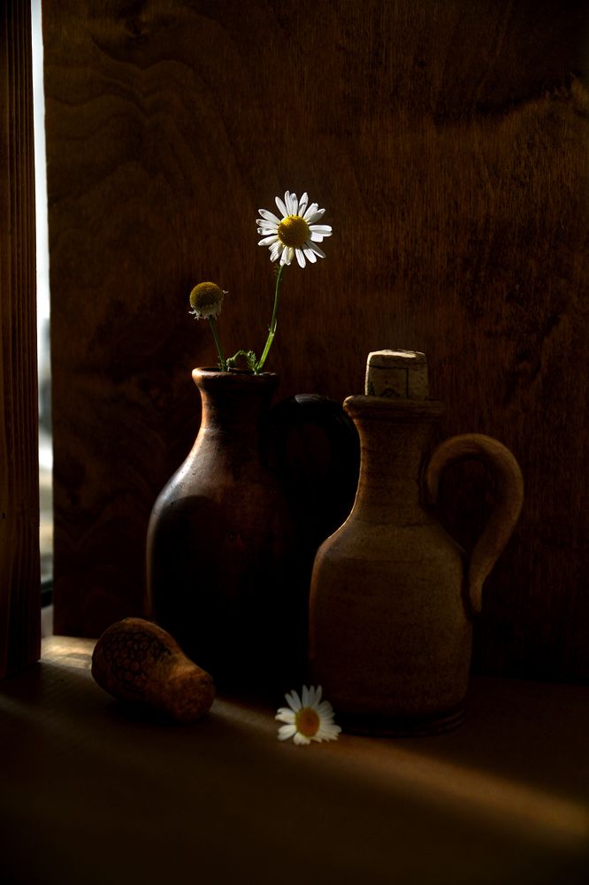 Photograph by Ольга Пуховникова