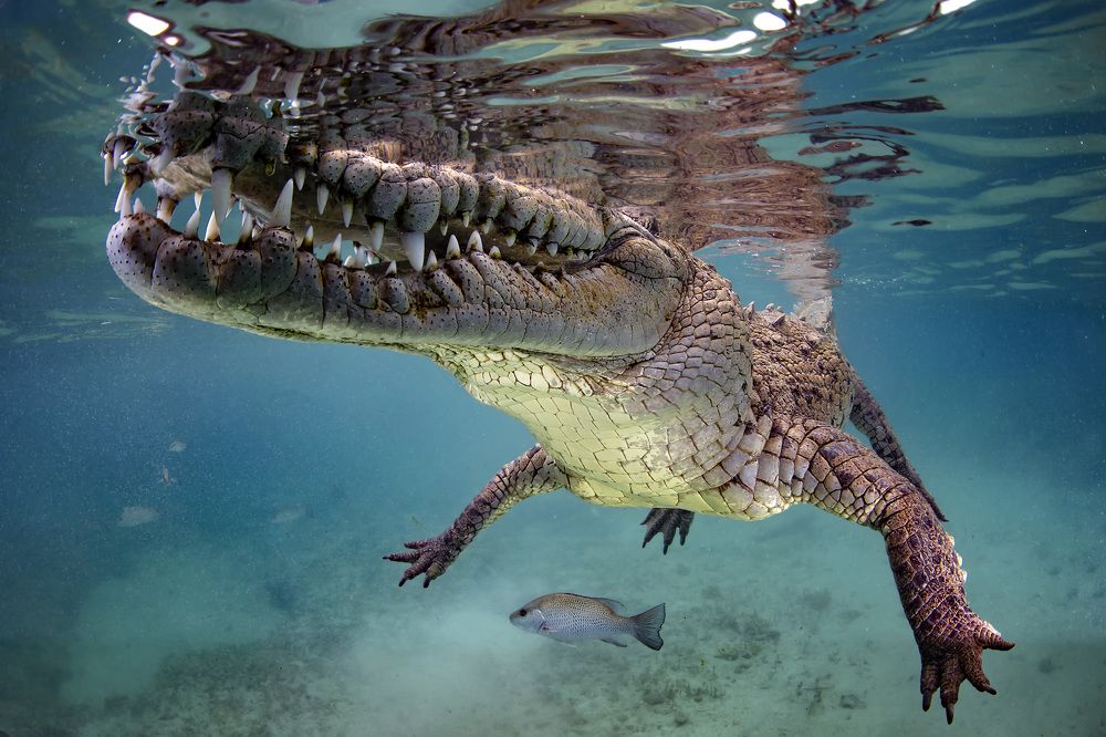 Photograph by Jose R Castello